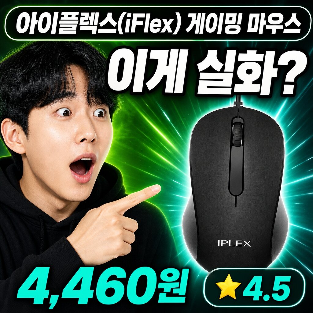 아이플렉스(iFlex) 마우스 실사용 후기 | 1,000 성능 총정리